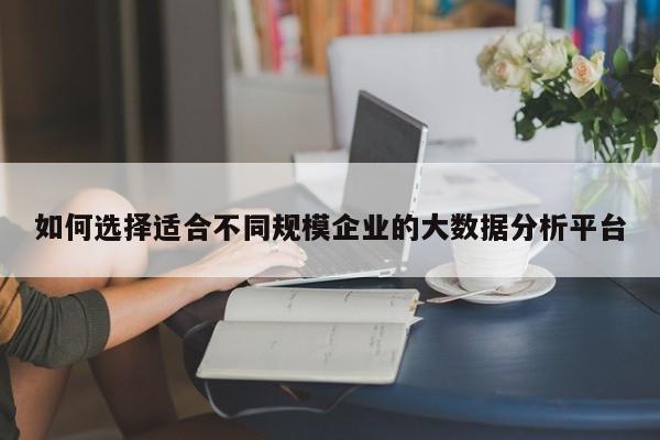 如何选择适合不同规模企业的大数据分析平台|南宫NG28官方网站